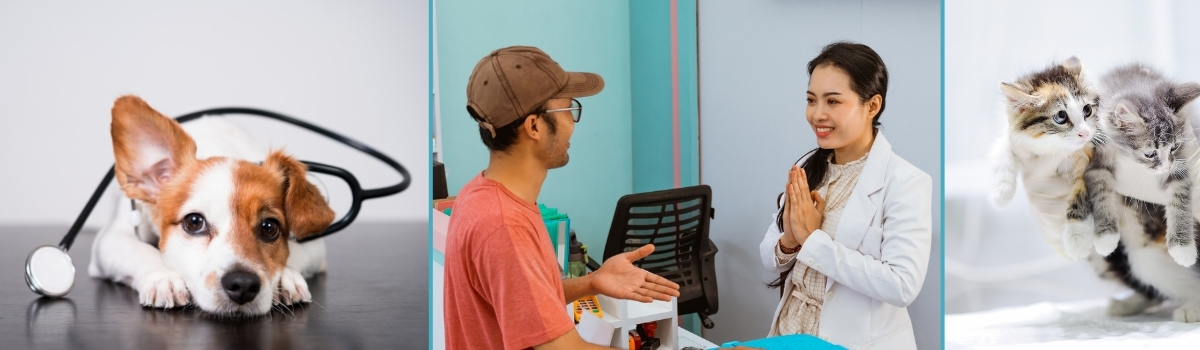 banner image